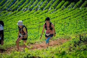 BIB: 
                            <button type="button" onclick="openModal(19163137)" class="btn btn-primary btn-sm float-right btn-popup" data-toggle="modal" data-target=".modal-high-quality">
                        <i class="fas fa-shopping-cart"></i> Add to Cart
                    </button>
                                            <button type="button" onclick="isThisMe(19163137, true)" class="btn btn-success btn-sm float-right btn-popup btn-isme hidden" data-toggle="tooltip" data-placement="bottom" title="นี่คือรูปของคุณใช่ไหม คลิกที่นี่เพื่อเอาเข้าอัลบั้ม">
                        <i class="fas fa-plus"></i> Add to album
                    </button>
                    <button type="button" onclick="isThisMe(19163137, false)" class="btn btn-warning btn-sm float-right btn-popup btn-isnotme hidden">
                        <i class="fas fa-ban"></i> Remove from album
                    </button>